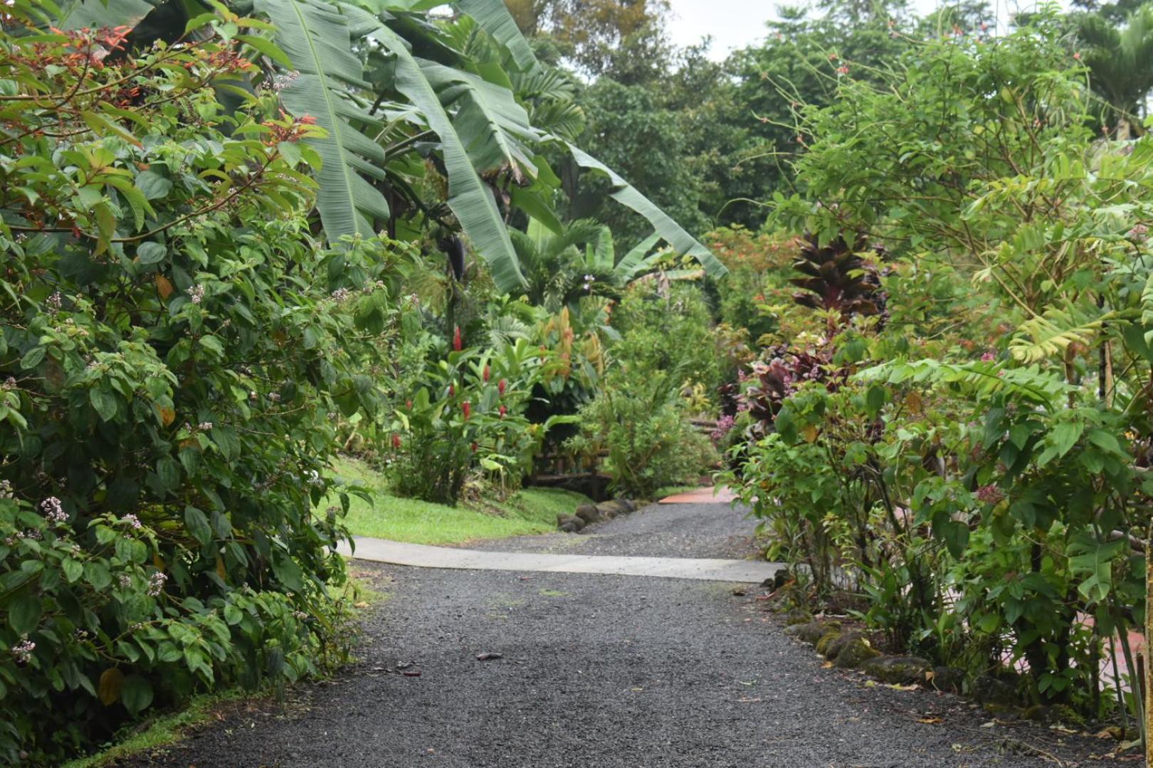 Hotel Roca Negra Del Arenal La Fortuna Esterno foto