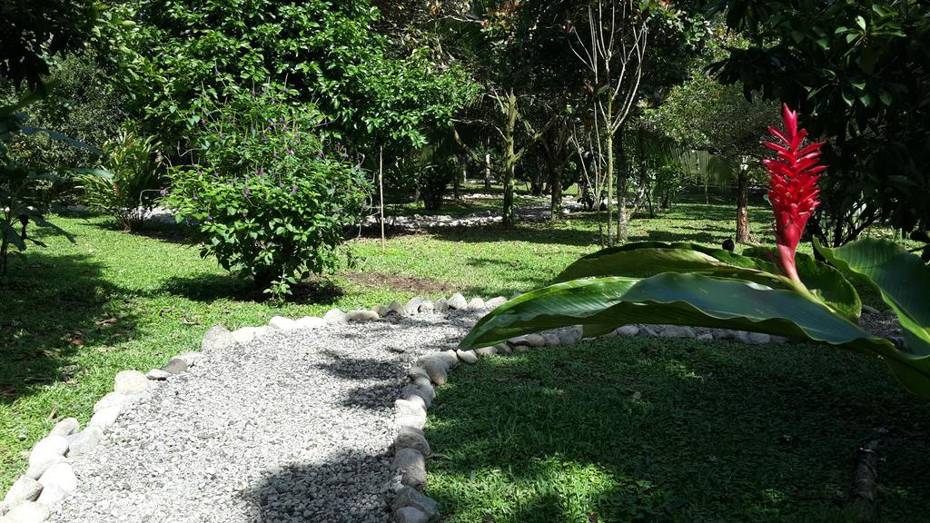 Hotel Roca Negra Del Arenal La Fortuna Esterno foto