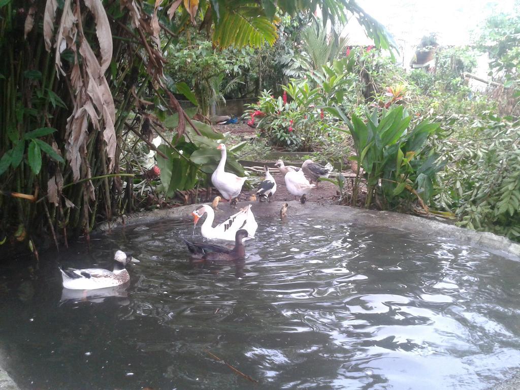 Hotel Roca Negra Del Arenal La Fortuna Esterno foto