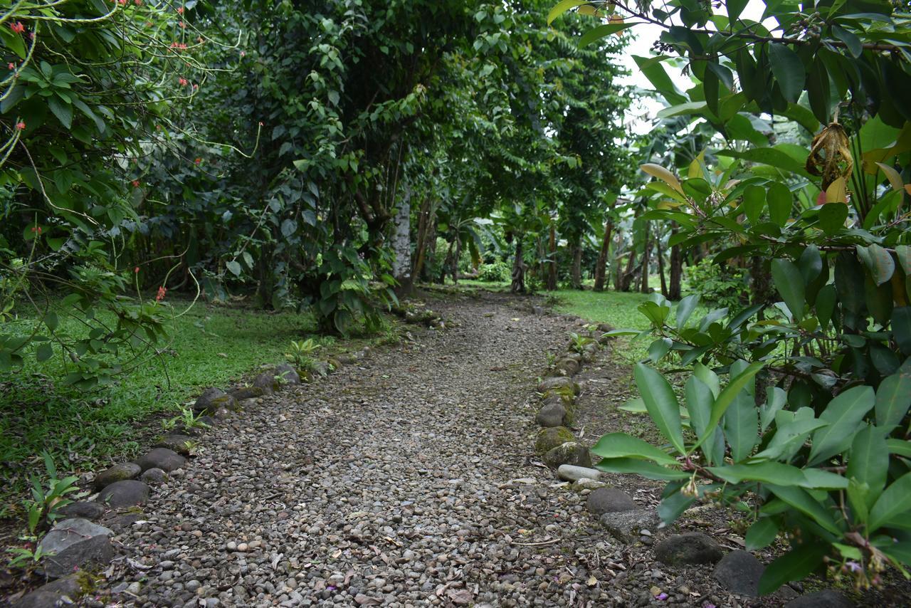 Hotel Roca Negra Del Arenal La Fortuna Esterno foto